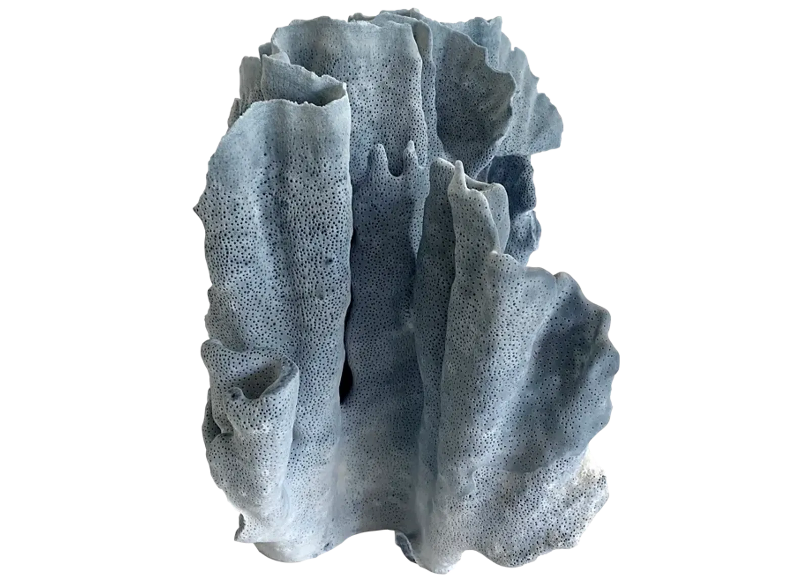 Natural Blue Coral Specimen