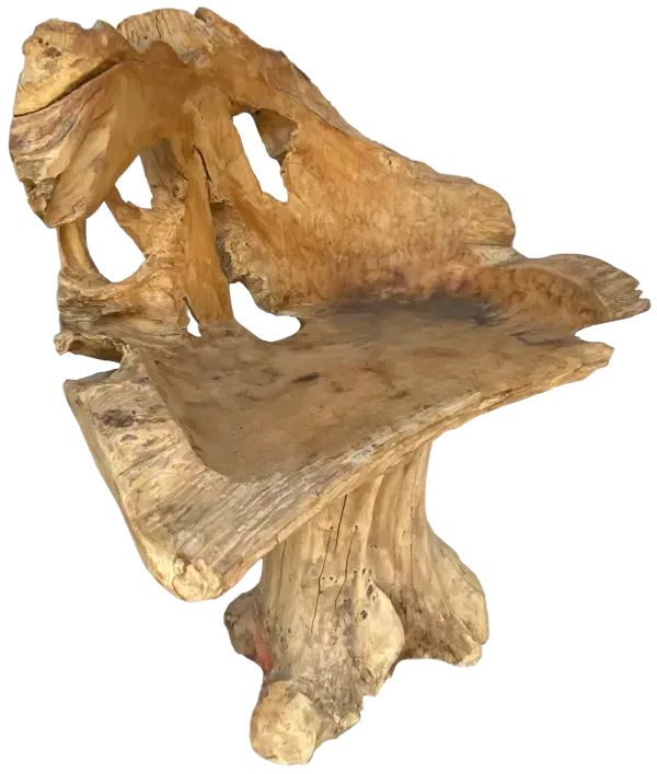 Teak Root Live Edge Chair - Brown