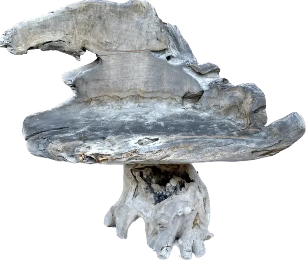 Teak Root Live Edge Chair - Gray