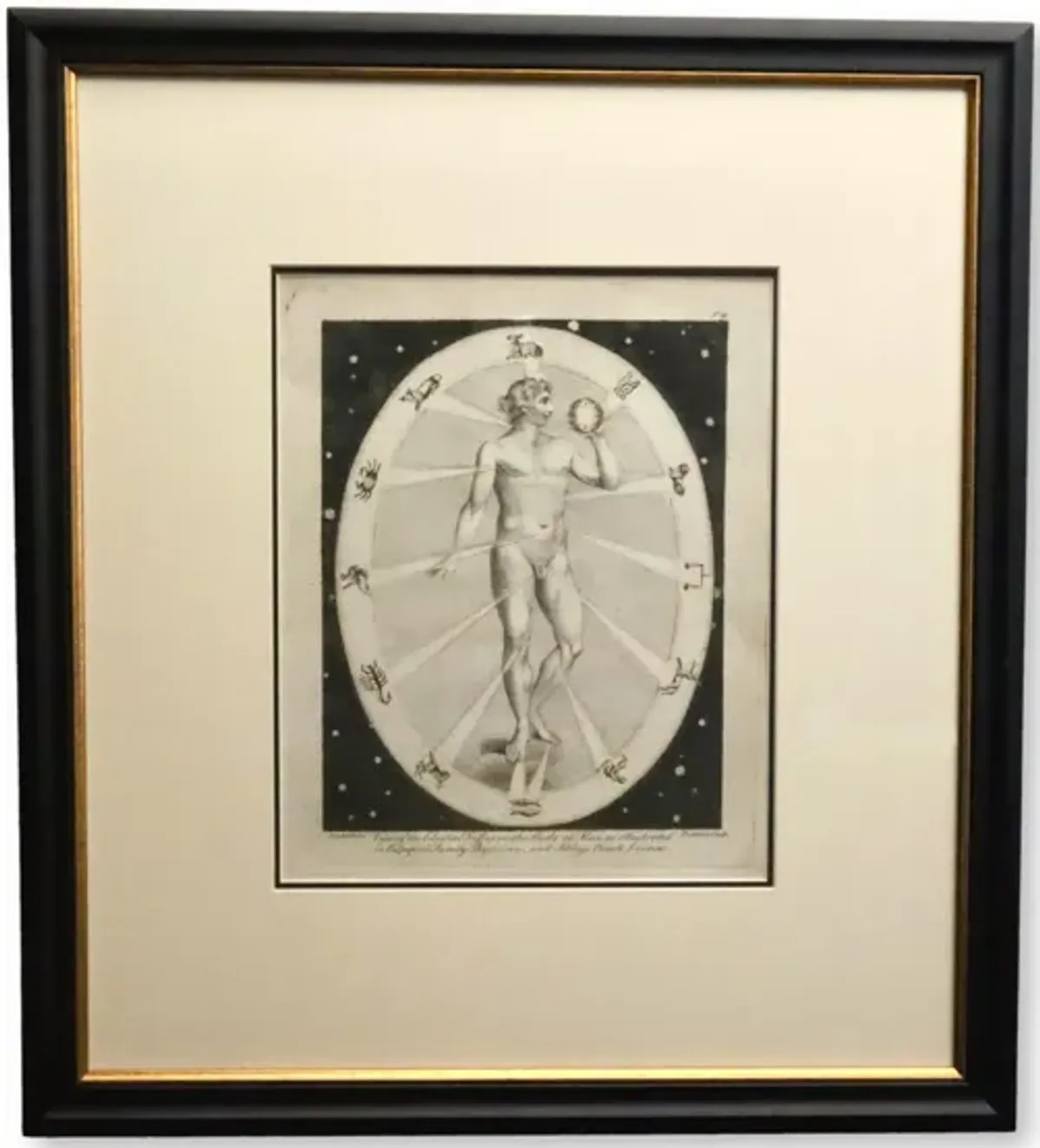 Celestial & Occult Engraving of a Man - Rose Victoria - Black