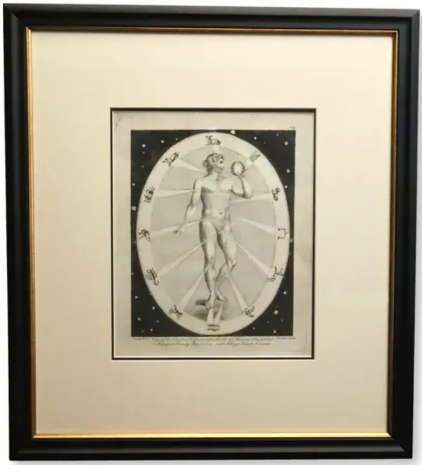 Celestial & Occult Engraving of a Man - Rose Victoria - Black