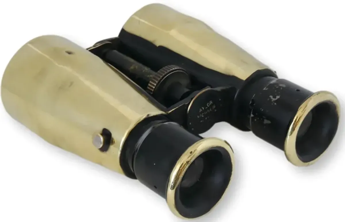 Large Antique Brass Binoculars - Gold