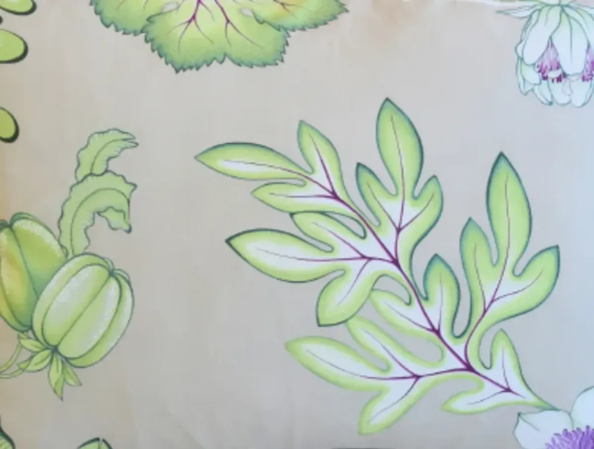 Manuel Canovas Botanical Pillows - Set of 2