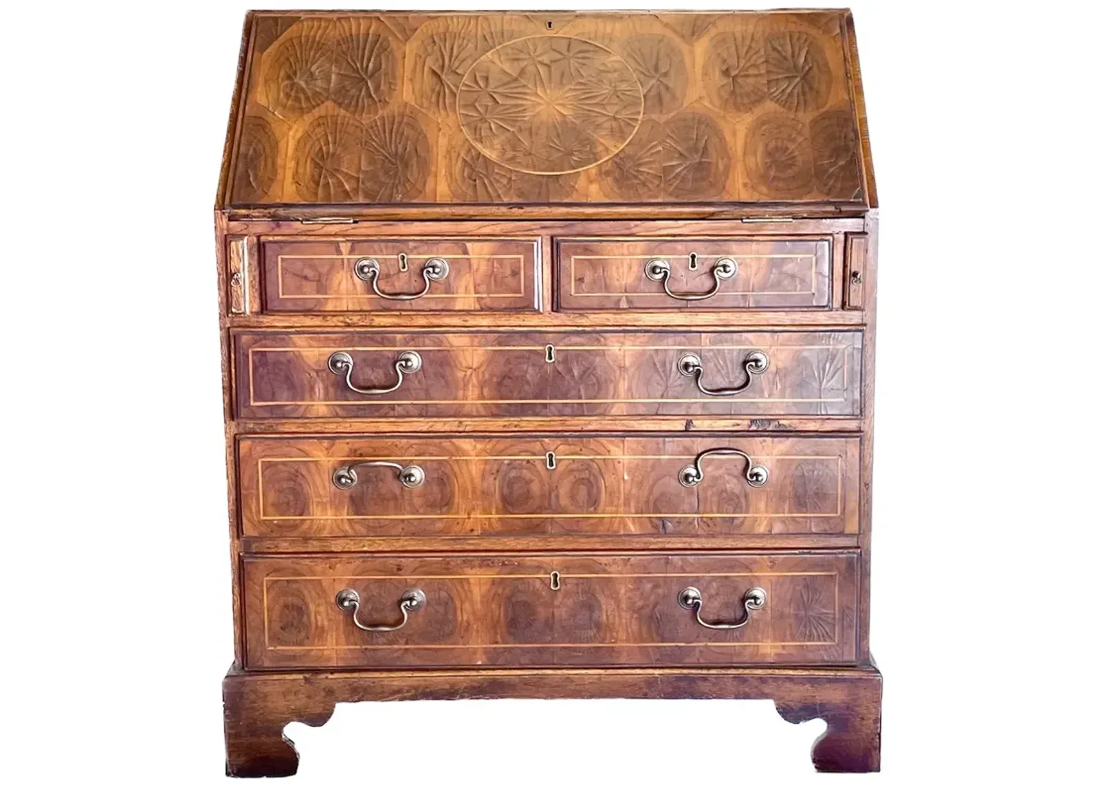 English Oyster Burl Veneer Secretary - Brown