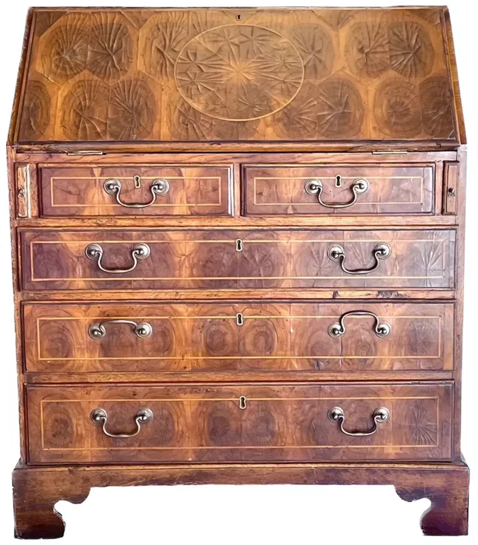 English Oyster Burl Veneer Secretary - Brown