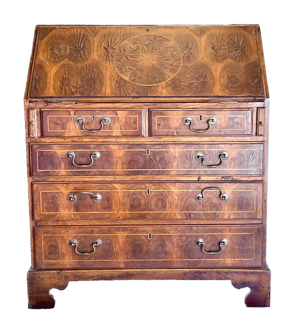 English Oyster Burl Veneer Secretary - Brown