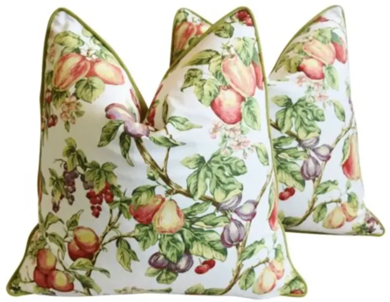 Botanical Fruit & Floral Pillows - Set of 2