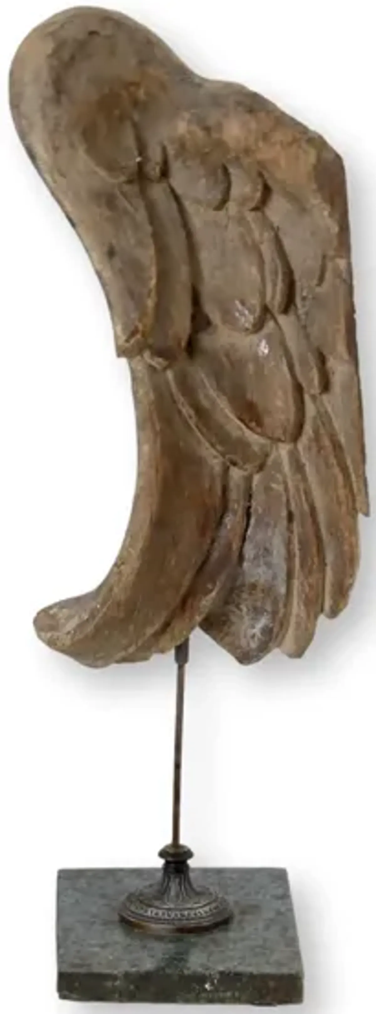 Fragment of 17th-C Angel Wing on Stand