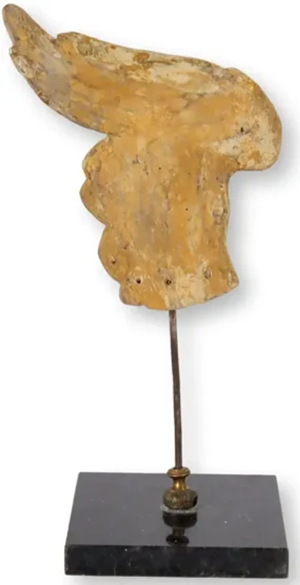 Fragment of 17th-C Angel Wing on Stand