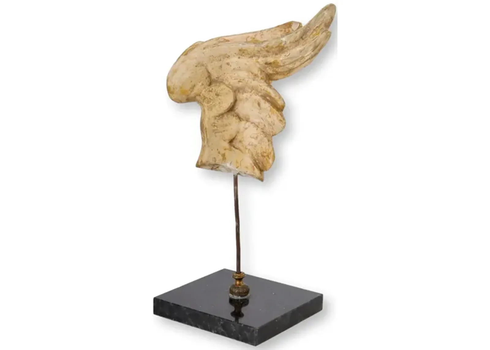 Fragment of 17th-C Angel Wing on Stand