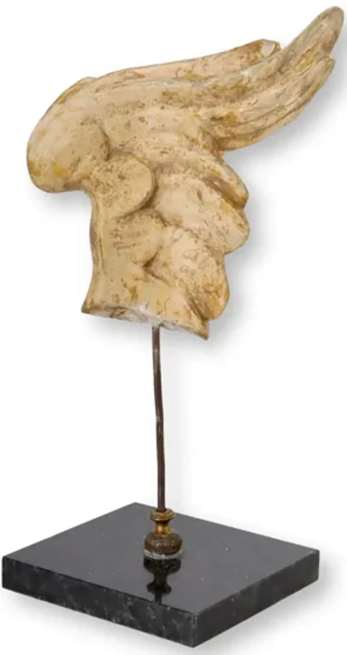 Fragment of 17th-C Angel Wing on Stand