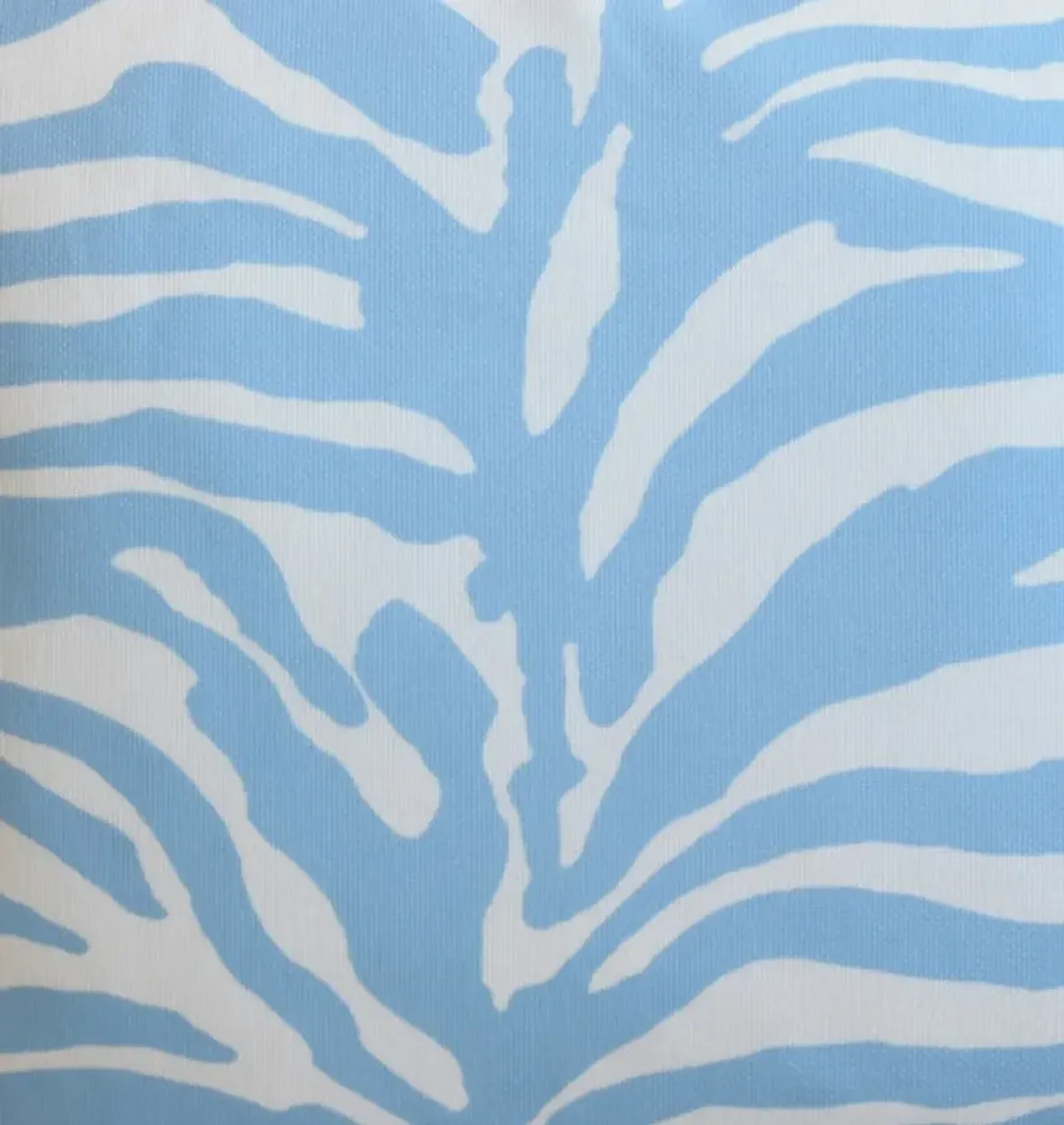 Sky-Blue & White Tiger Stripe Pillow