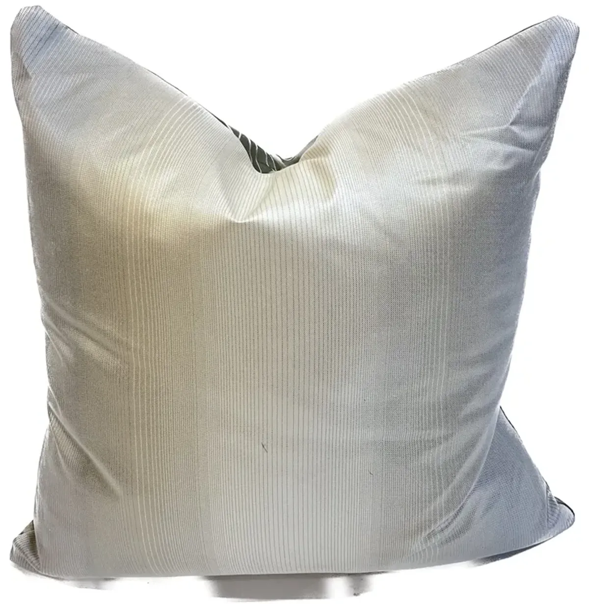 India Hicks Silk Insect Pillows - PR