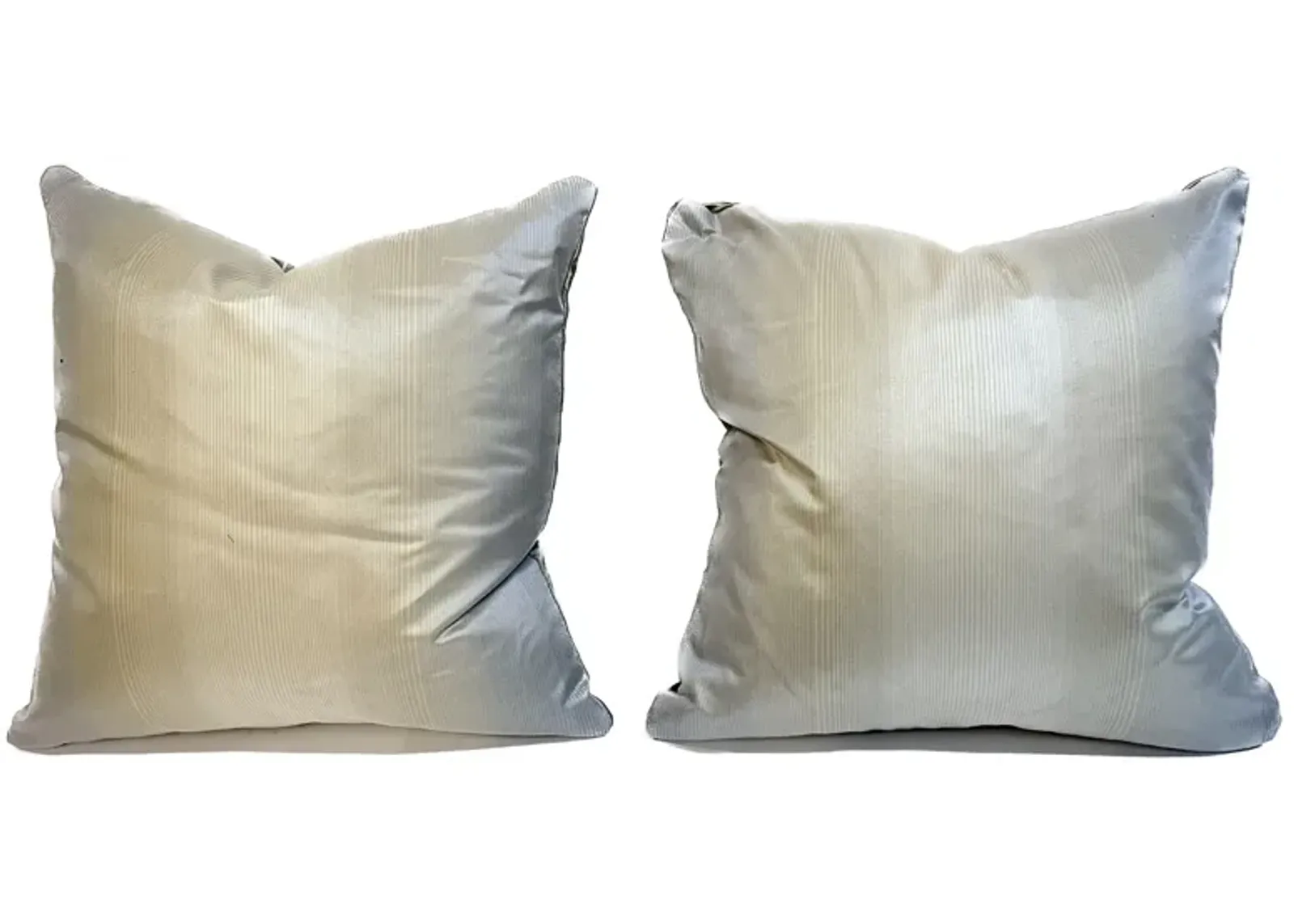 India Hicks Silk Insect Pillows - PR