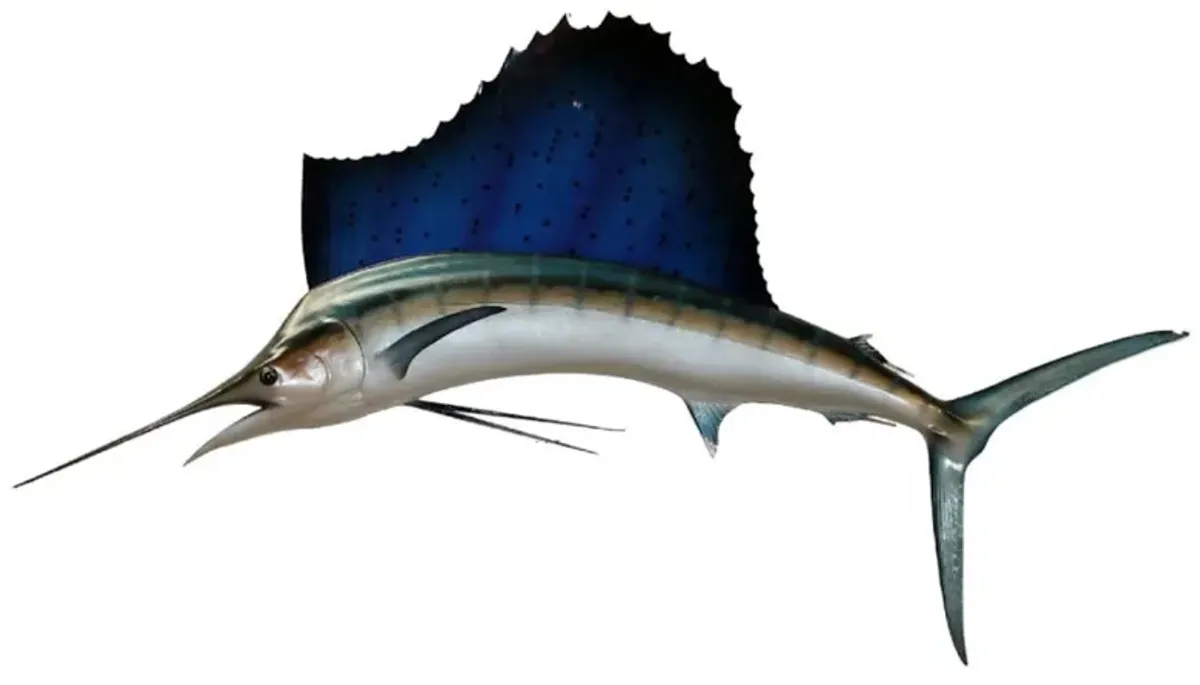 Large Sailfish Wall Mount