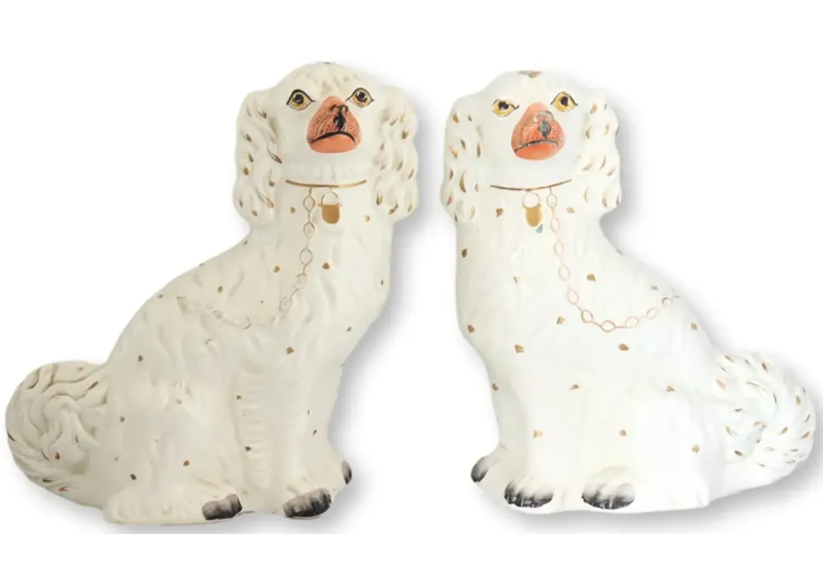 Large White Staffordshire Spaniel Dogs