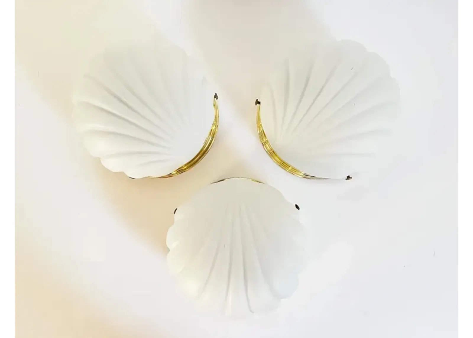 Scallop Shell Wall Lights - Set of 3 - White