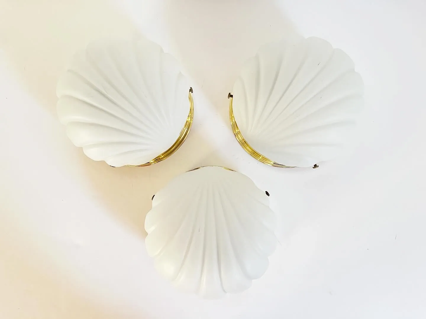 Scallop Shell Wall Lights - Set of 3 - White