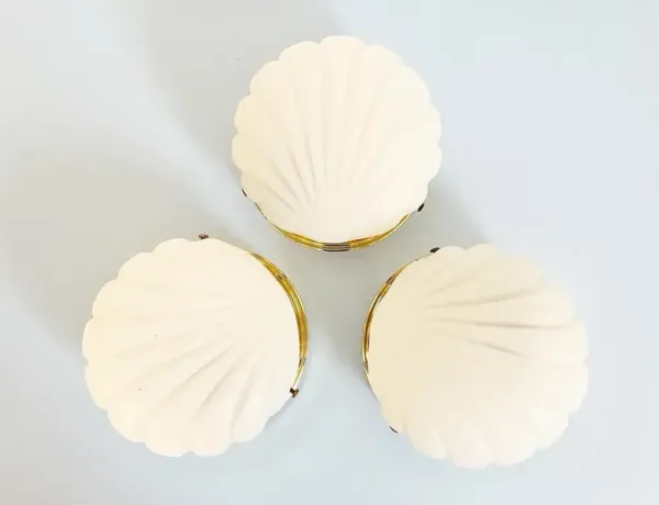 Scallop Shell Wall Lights - Set of 3 - C the Light Interiors - White