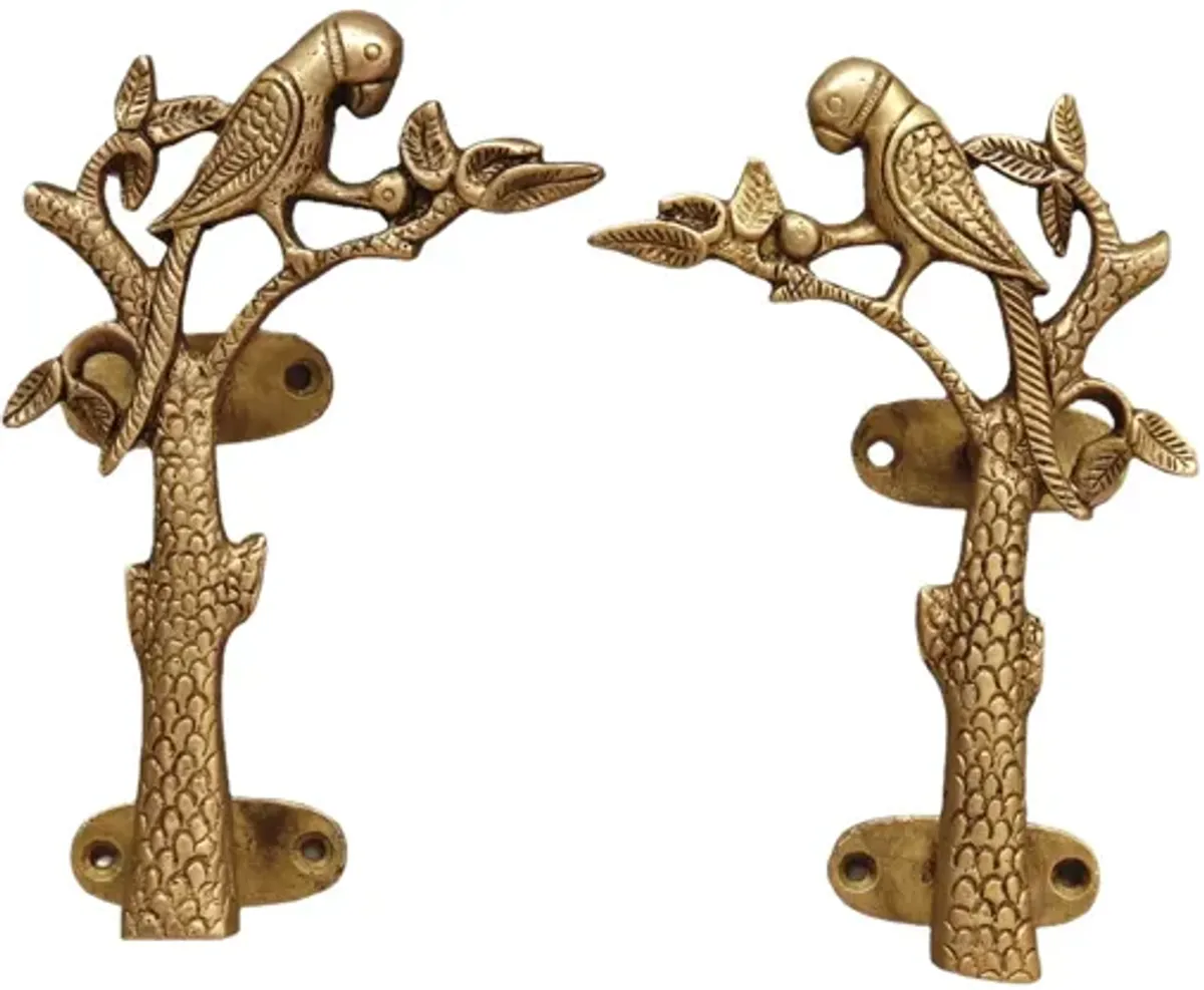 Gold Brass Parakeet Branch Door Handles