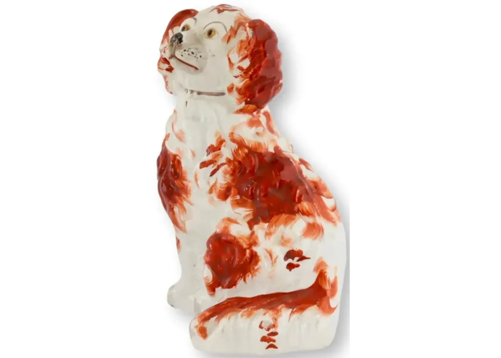 English Staffordshire Spaniel / Dog - Orange