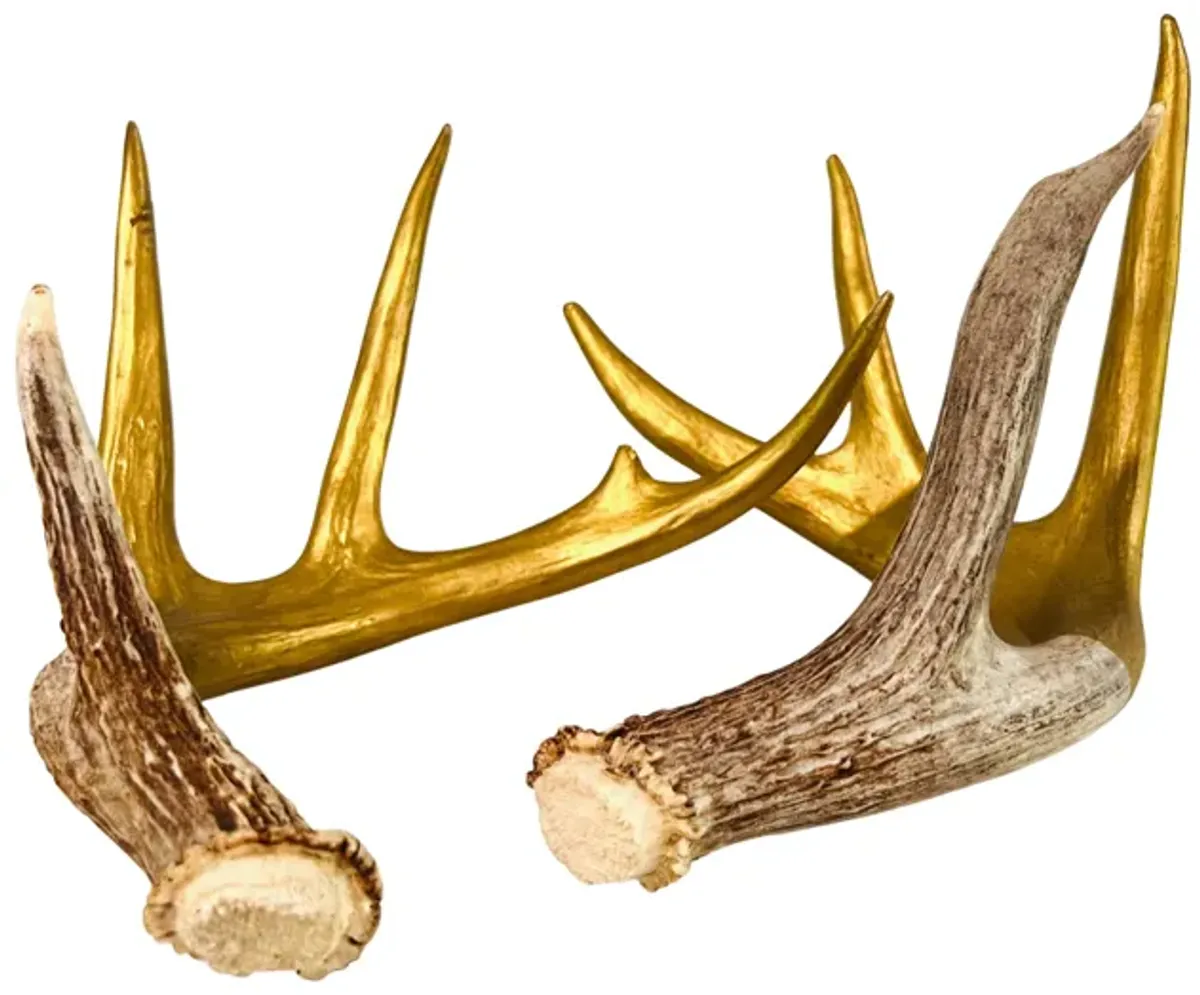 Hand-Painted Shed Deer Antlers - Set of 2