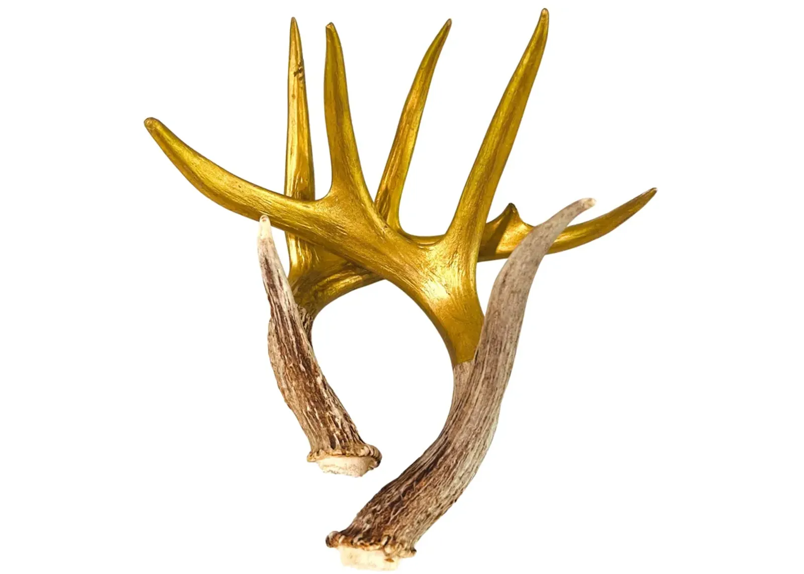 Hand-Painted Shed Deer Antlers - Set of 2