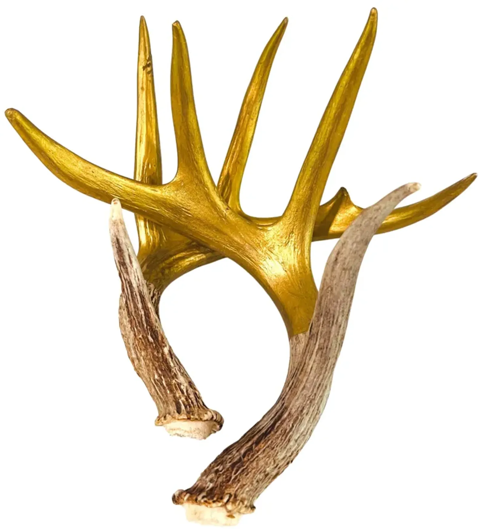 Hand-Painted Shed Deer Antlers - Set of 2