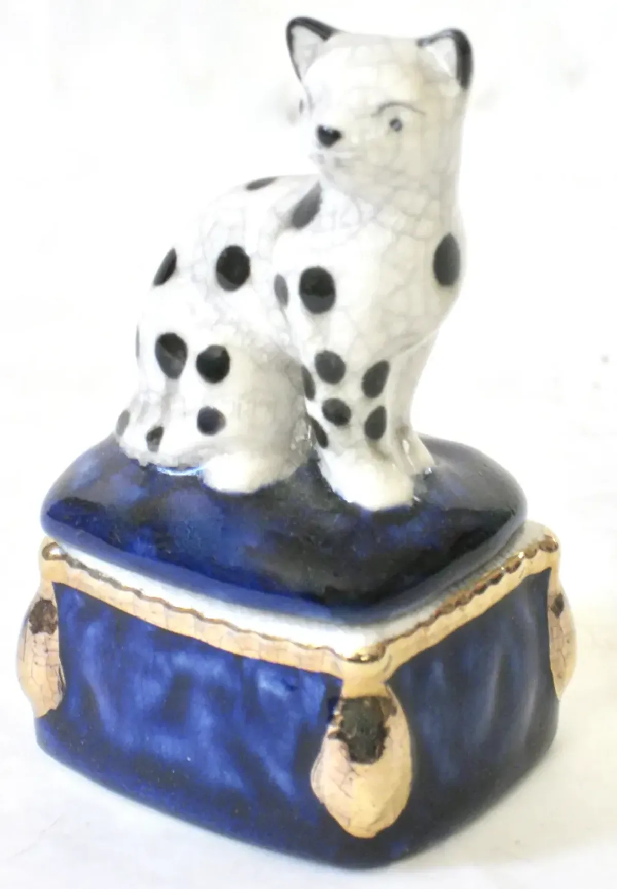 Porcelain Cat Box