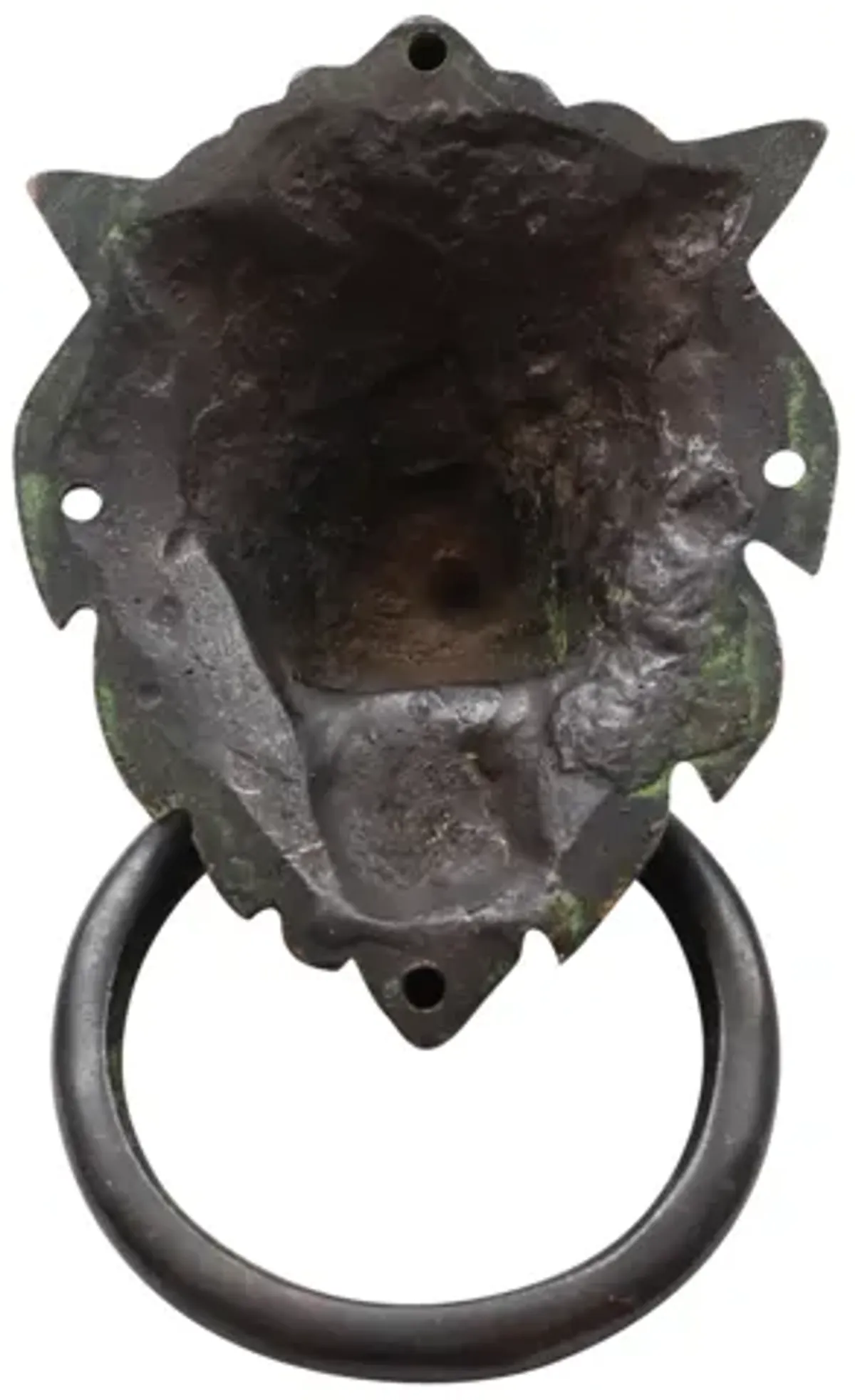 Green Brass Lion's Head Door Knocker