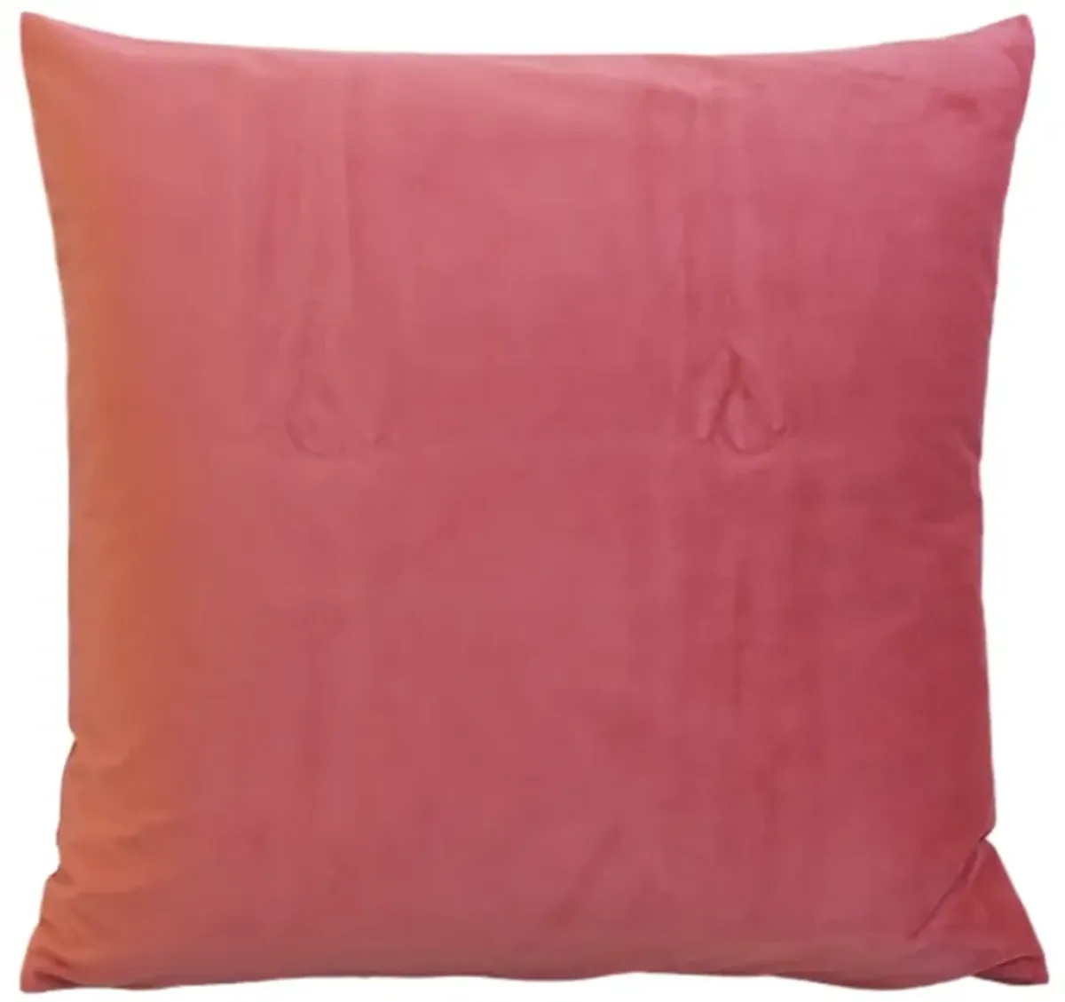 Double Sided Coral Velvet Pillows - Set of 2