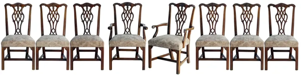 American Made Chippendale Dining Chairs - Brown