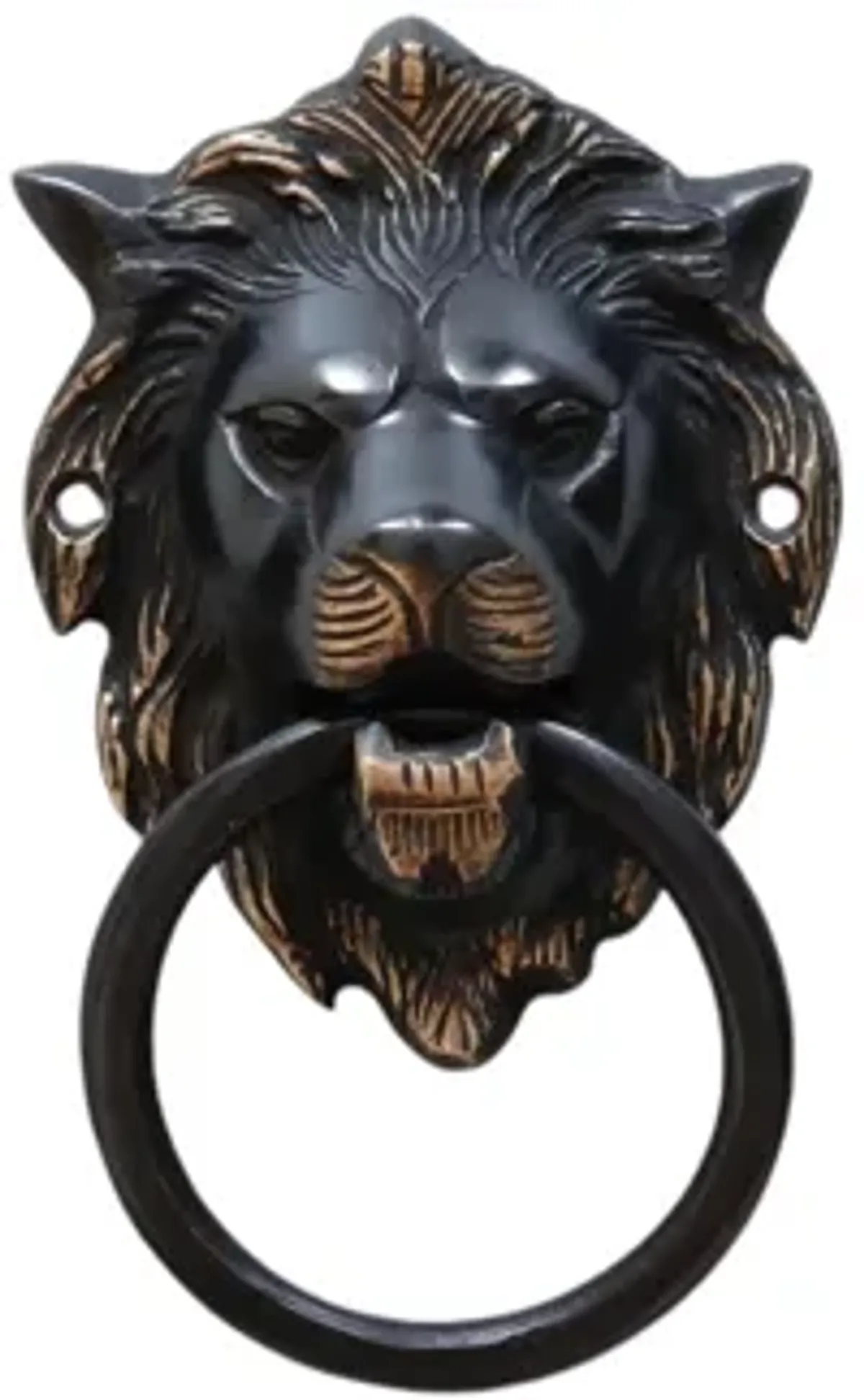 Dark Brass Lion's Head Door Knocker