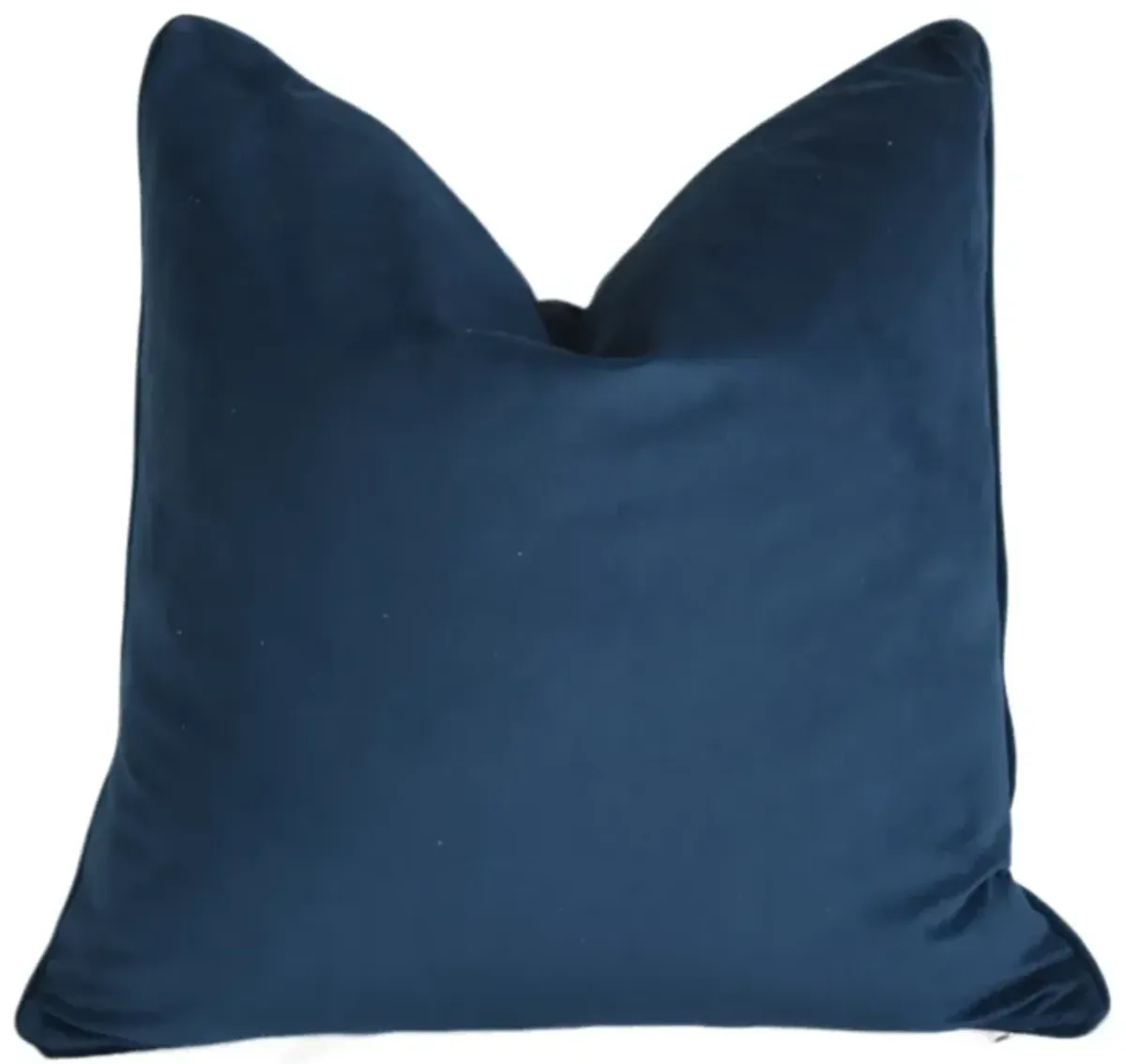 Blue & Black/White Zebras Velvet Pillow
