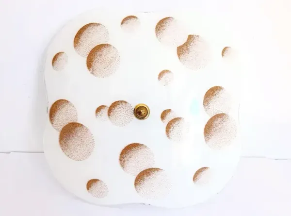 Modern Moons Flush Light - C the Light Interiors - White