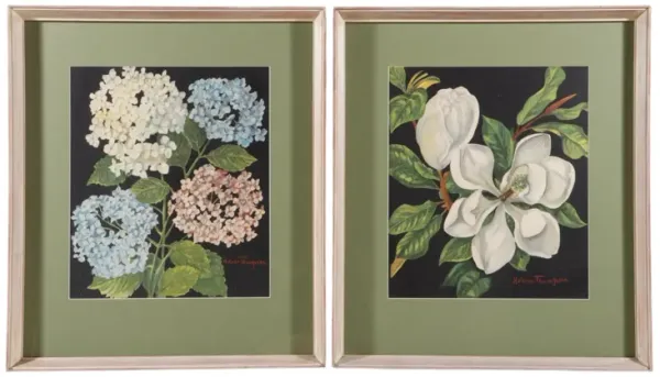 Signed Botanical Lithographs - a Pair - Interesting Things - green