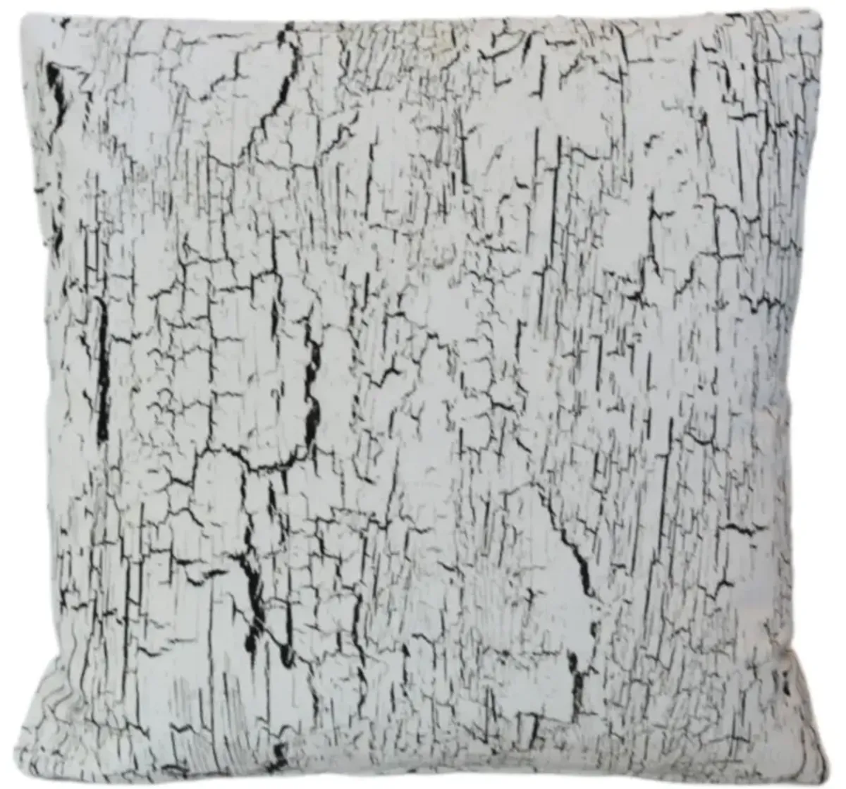 Designer Whitewashed Black Velvet Pillow