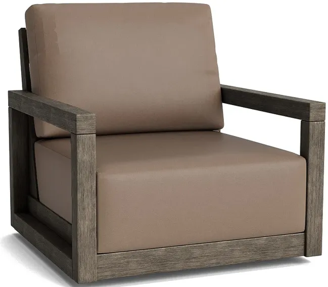 Frame Club Swivel Chair