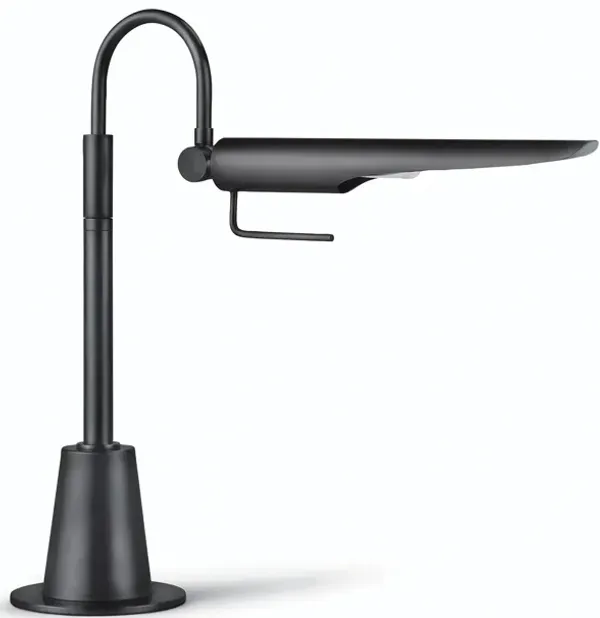 Raven Task Lamp (Oil Rubbed Bronze)
