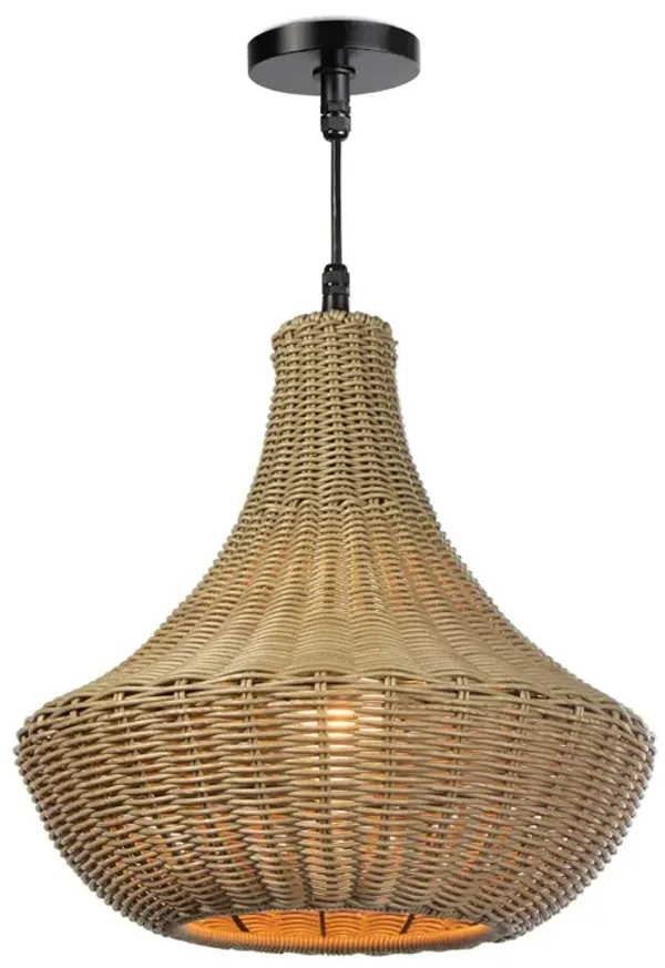 Vista Outdoor Chandelier (Driftwood)