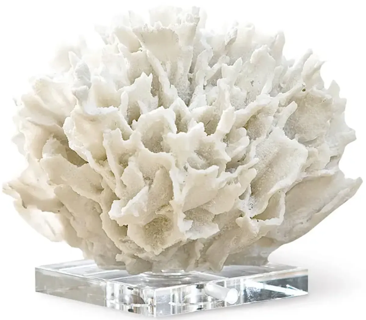 Ribbon Coral (White)
