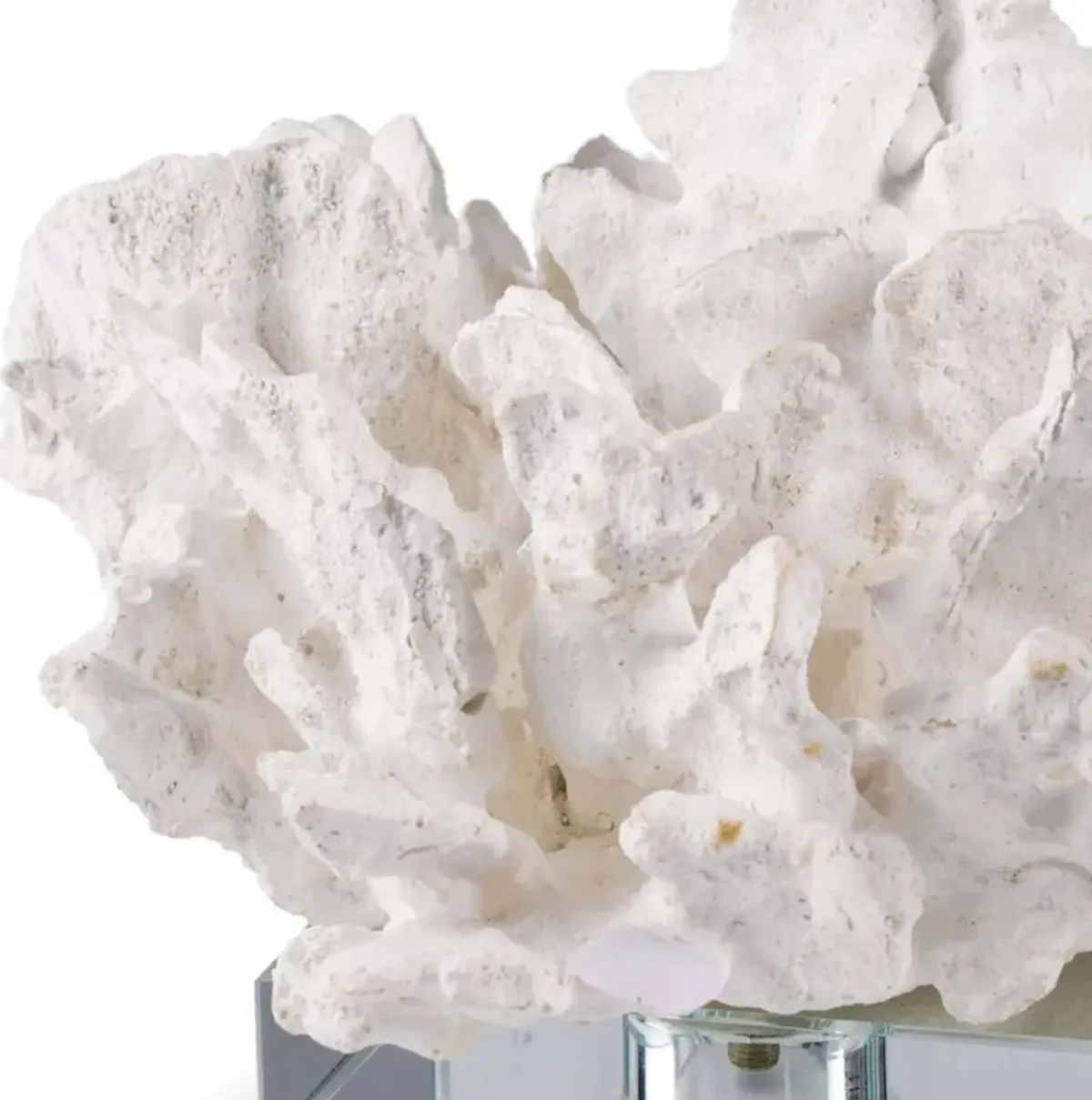 Flower Coral On Crystal Base (White)