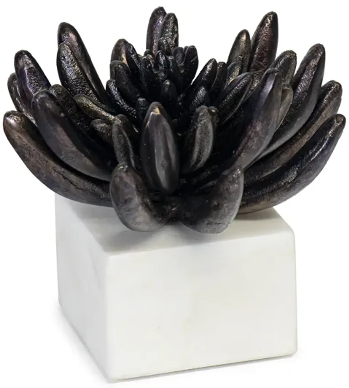 Succulent Resin Sculpture 2 (Blackened Zinc)