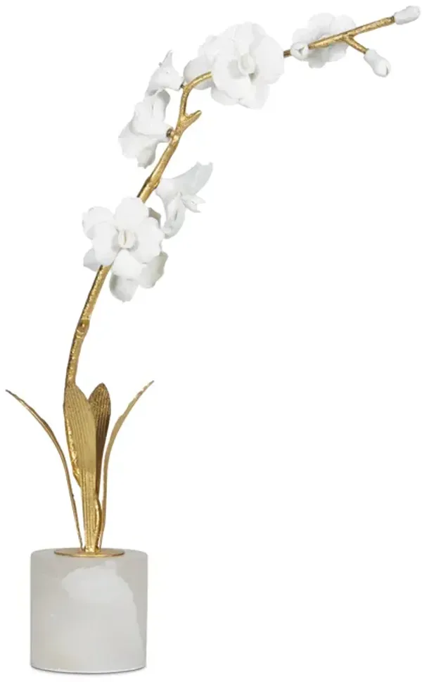 Thylane Accessory 1