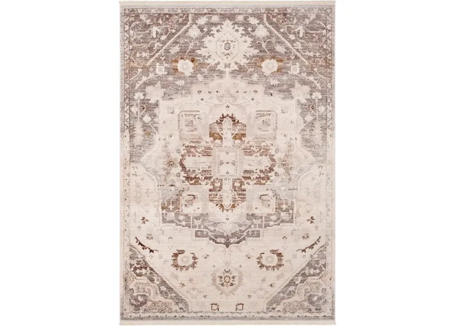 8 x 10 Large Beige, Brown and Gray Area Rug - Ephesians