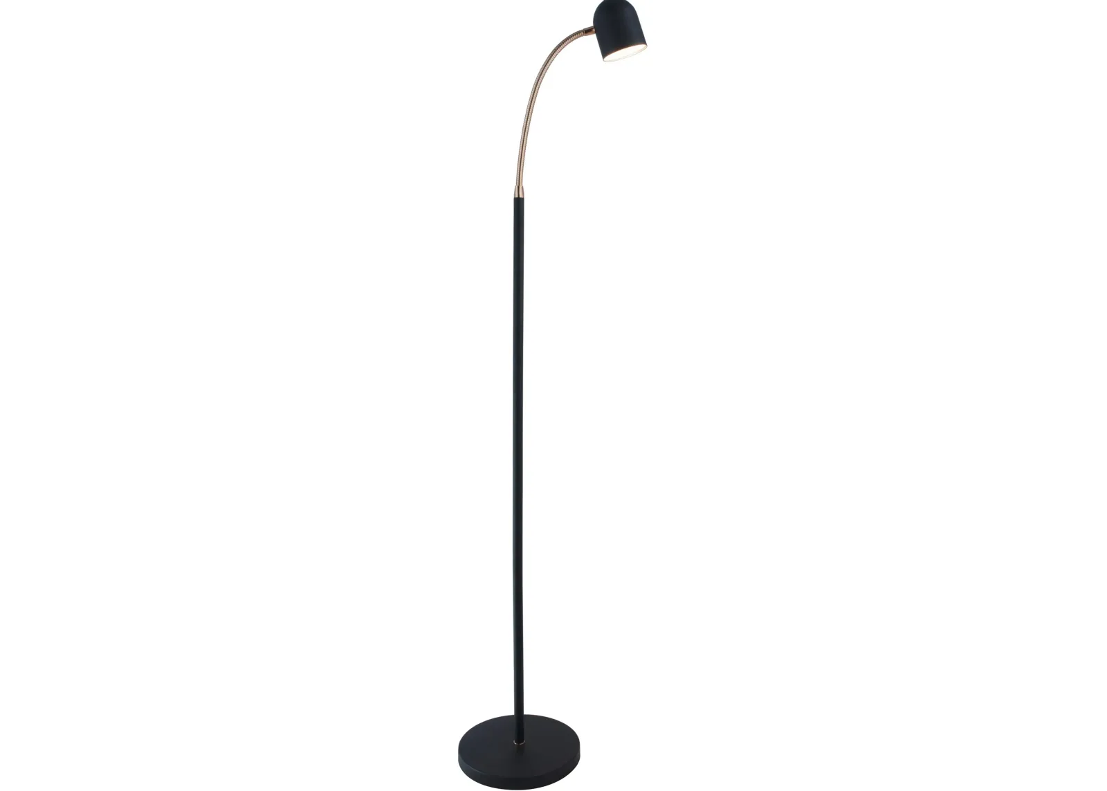 Black and Antique Brass Transitional LED Floor Lamp - Tiara