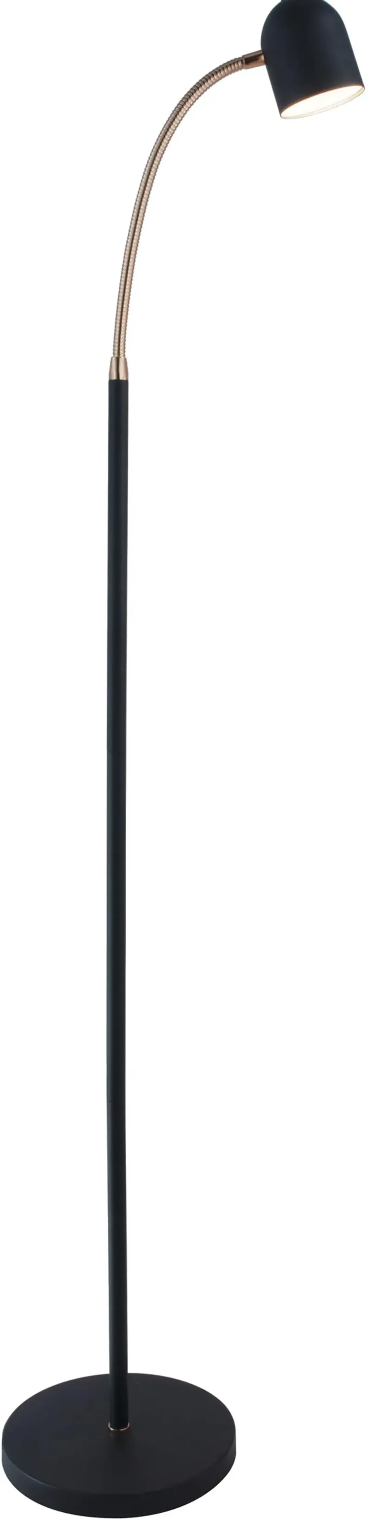 Black and Antique Brass Transitional LED Floor Lamp - Tiara