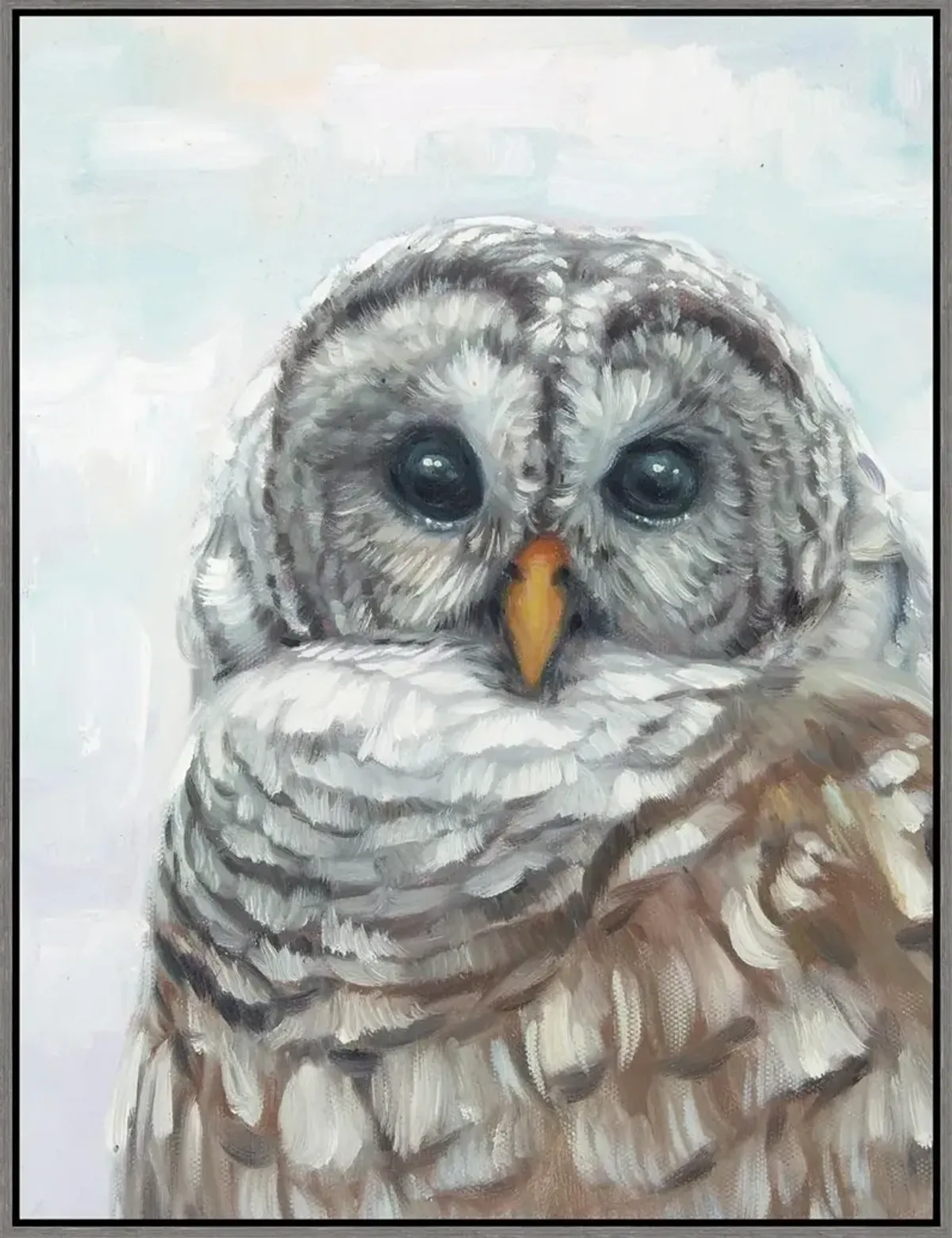 Multi Colored Owl Canvas Framed Wall Art