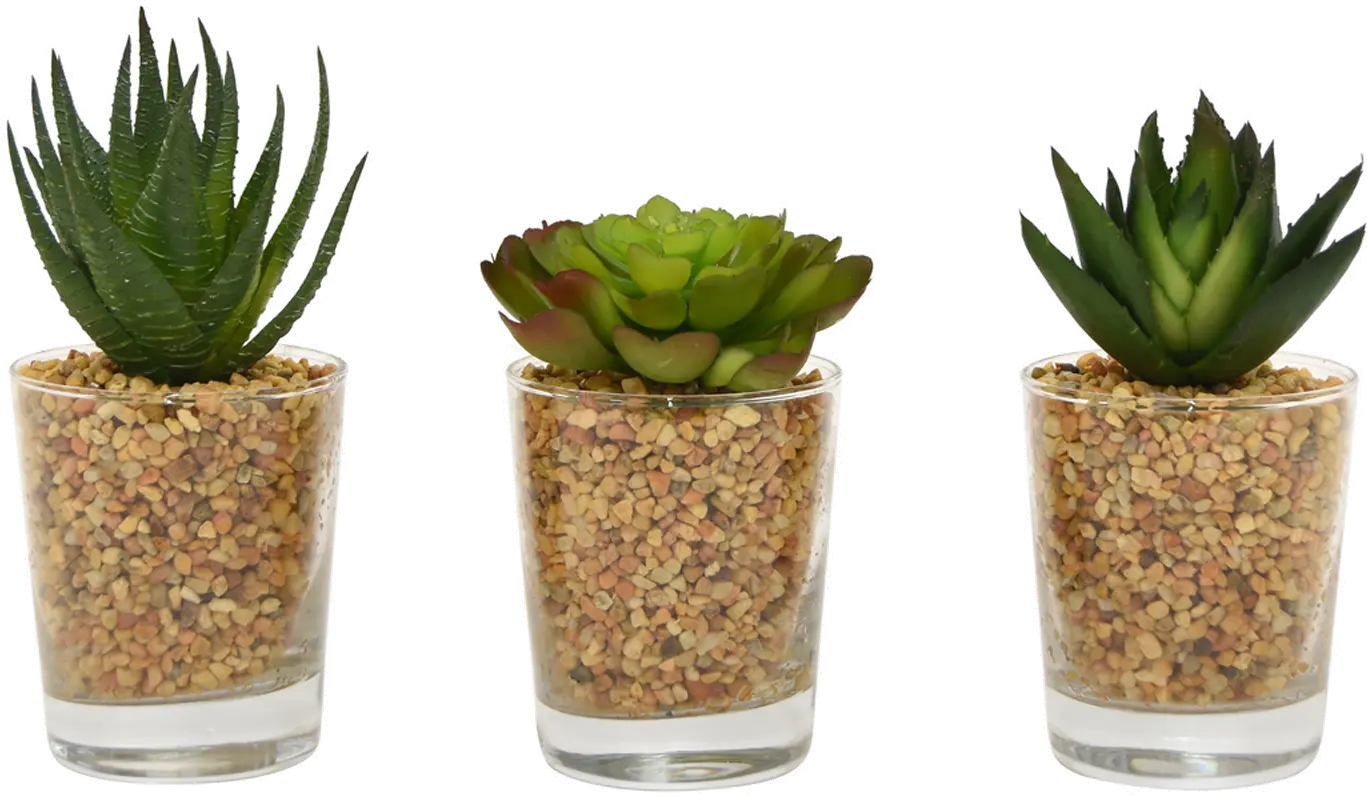 Assorted Faux Succulent Arrangement in Glass Container
