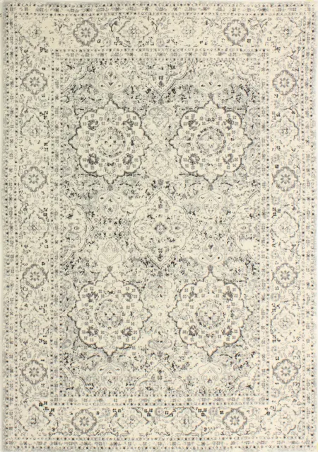 4 x 6 Small Traditional Alberta Ivory and Blue Rug - Everek